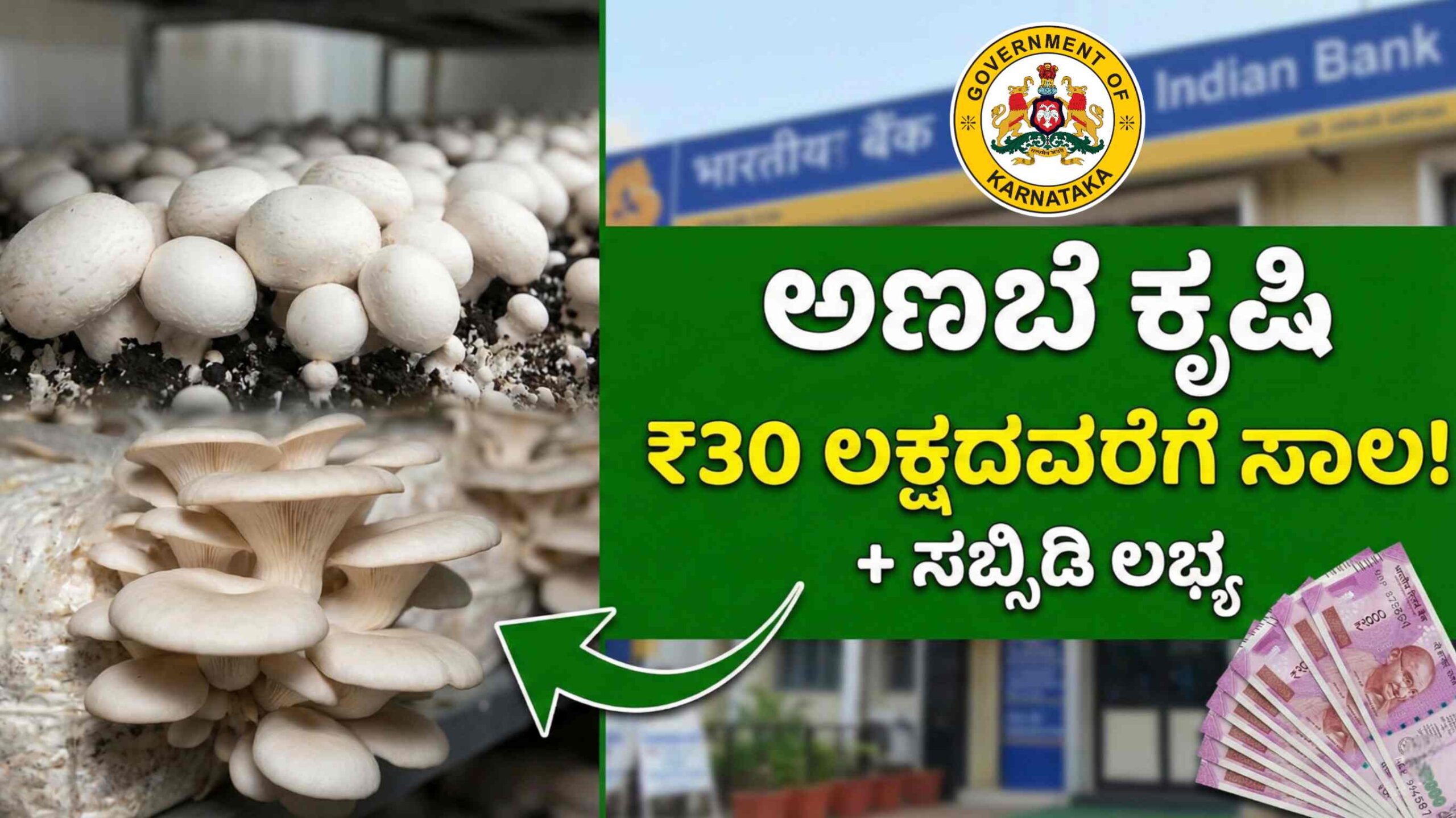 mushrooms subsidy scaled