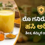 raw turmeric benefits for immunity kannada