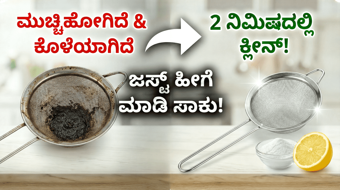 wmremove transformed 10 optimized 300