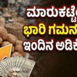 wmremove transformed 8 optimized 300