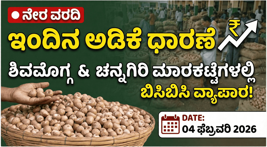 Gemini Generated Image 2pi6ar2pi6ar2pi6 1 optimized 300