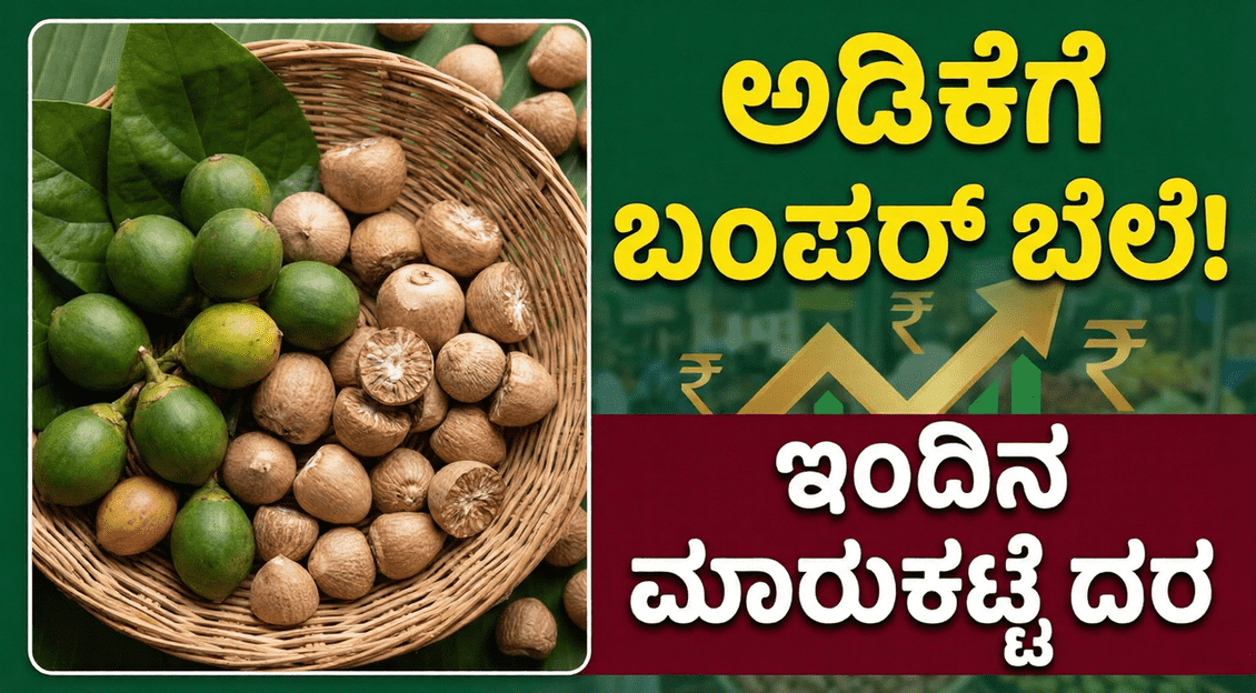 Gemini Generated Image 32qd5c32qd5c32qd 1 optimized 300