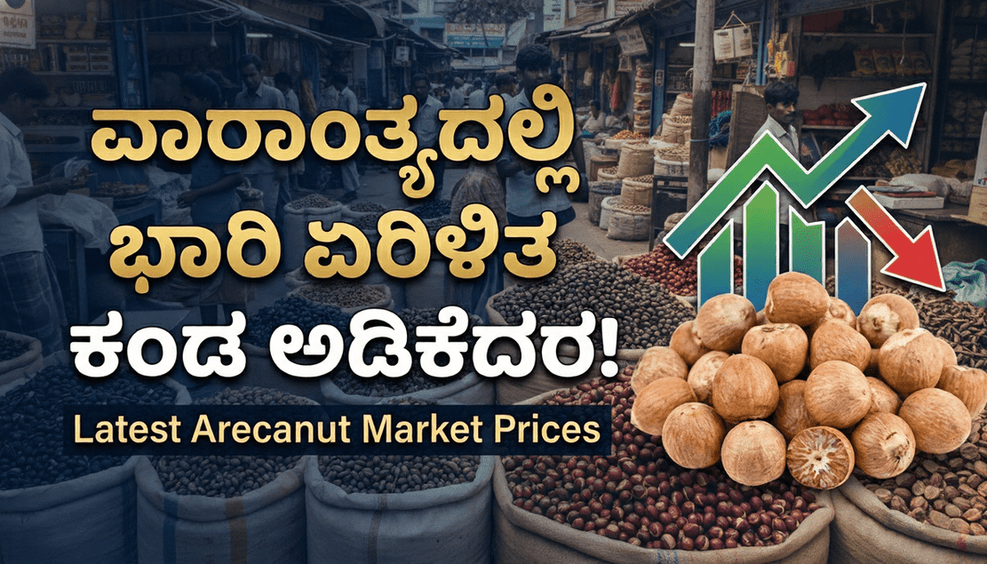 Gemini Generated Image 4zibbz4zibbz4zib 1 optimized 300