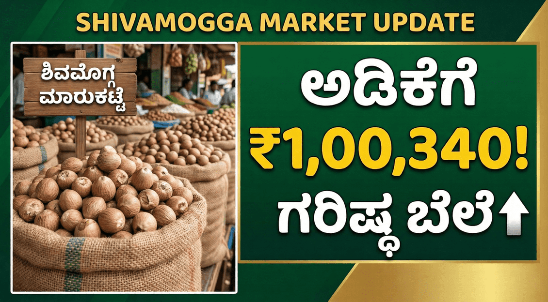 Gemini Generated Image h8cj6lh8cj6lh8cj 1 optimized 300