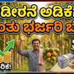 Gemini Generated Image hijejnhijejnhije 1