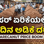 Gemini Generated Image m85z3bm85z3bm85z 2 optimized 300