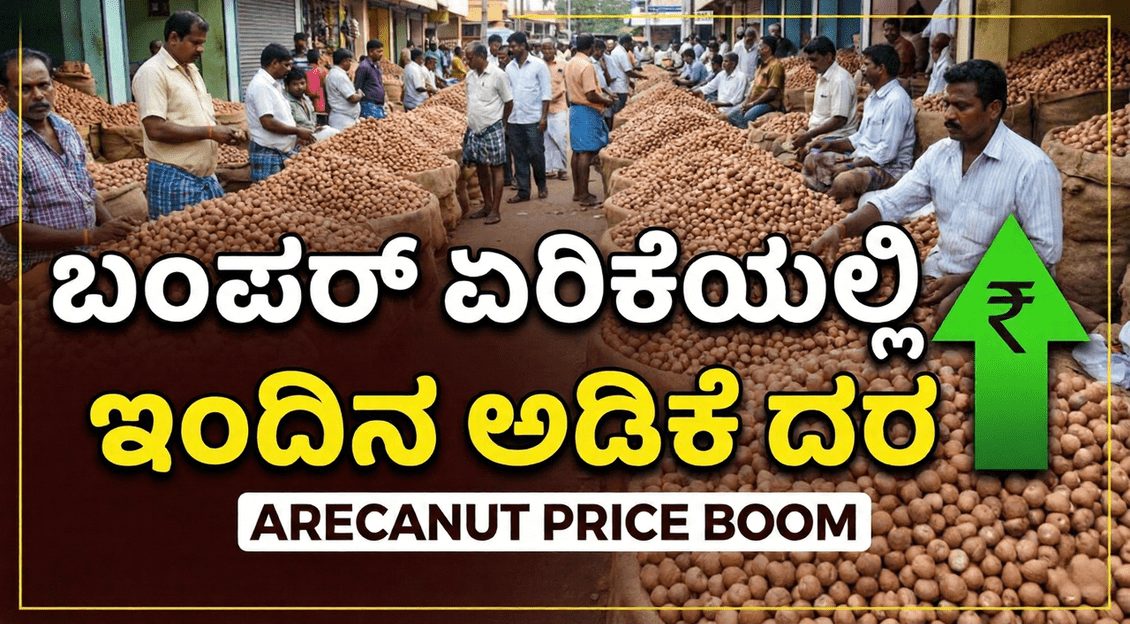 Gemini Generated Image m85z3bm85z3bm85z 2 optimized 300