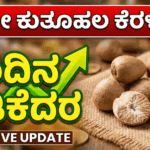 Gemini Generated Image r6awvpr6awvpr6aw 1 optimized 300