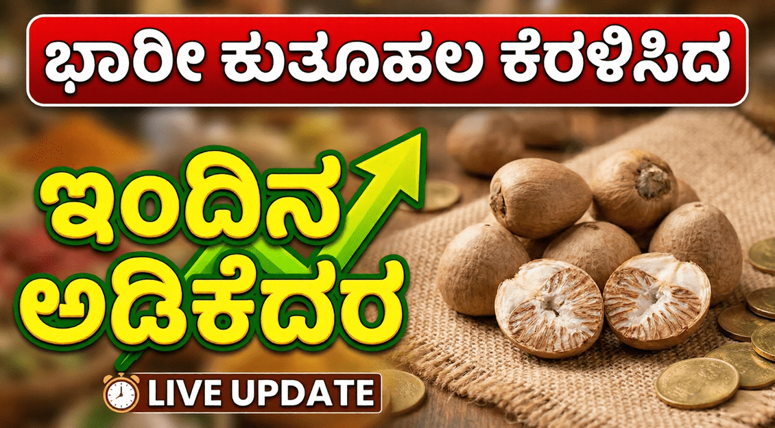 Gemini Generated Image r6awvpr6awvpr6aw 1 optimized 300