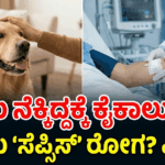 Gemini Generated Image ysxpxuysxpxuysxp 1 optimized 300