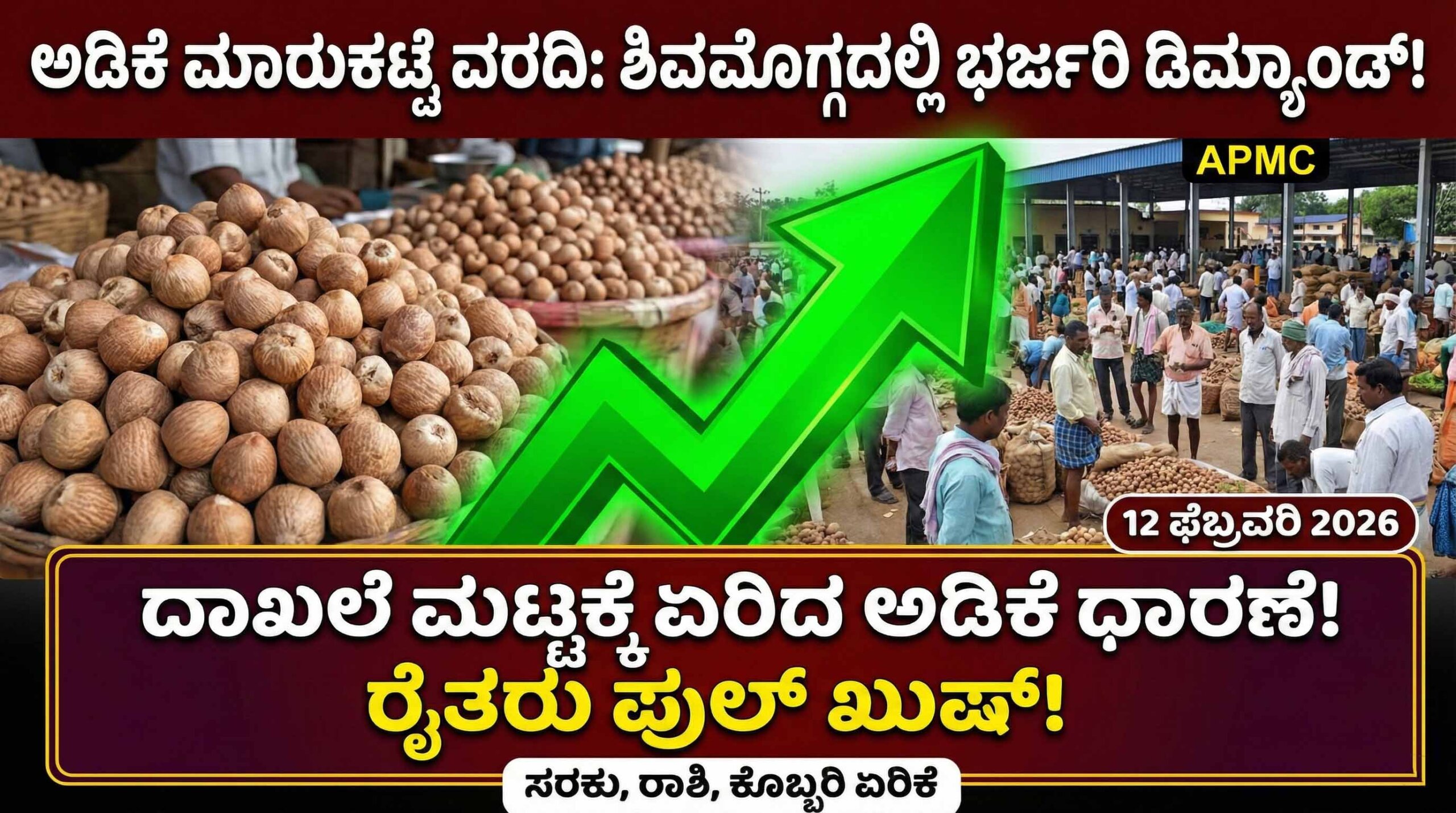 arecanut market price today 12 february 2026 shivamogga adike rate scaled