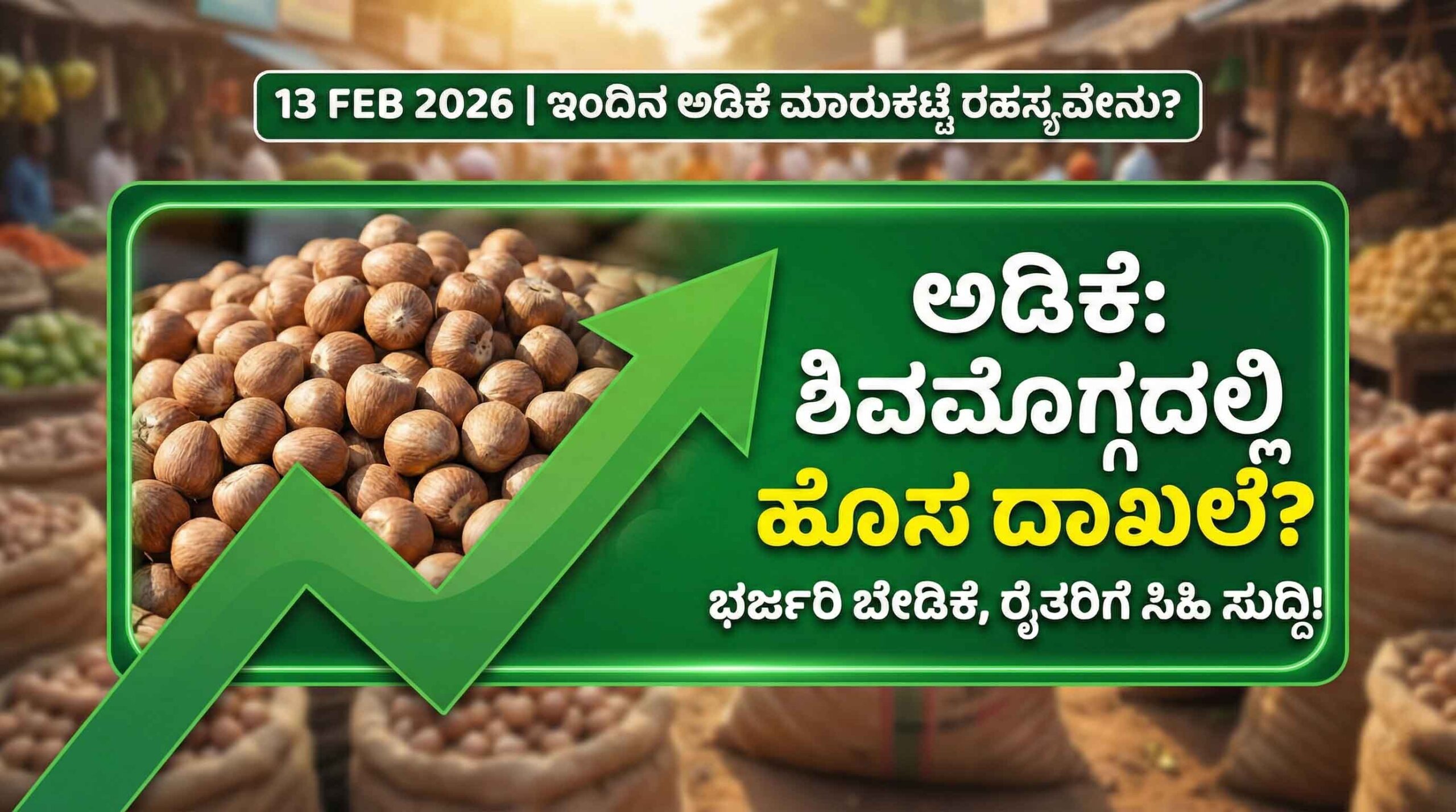 arecanut market price today 13 february 2026 shivamogga karnataka scaled