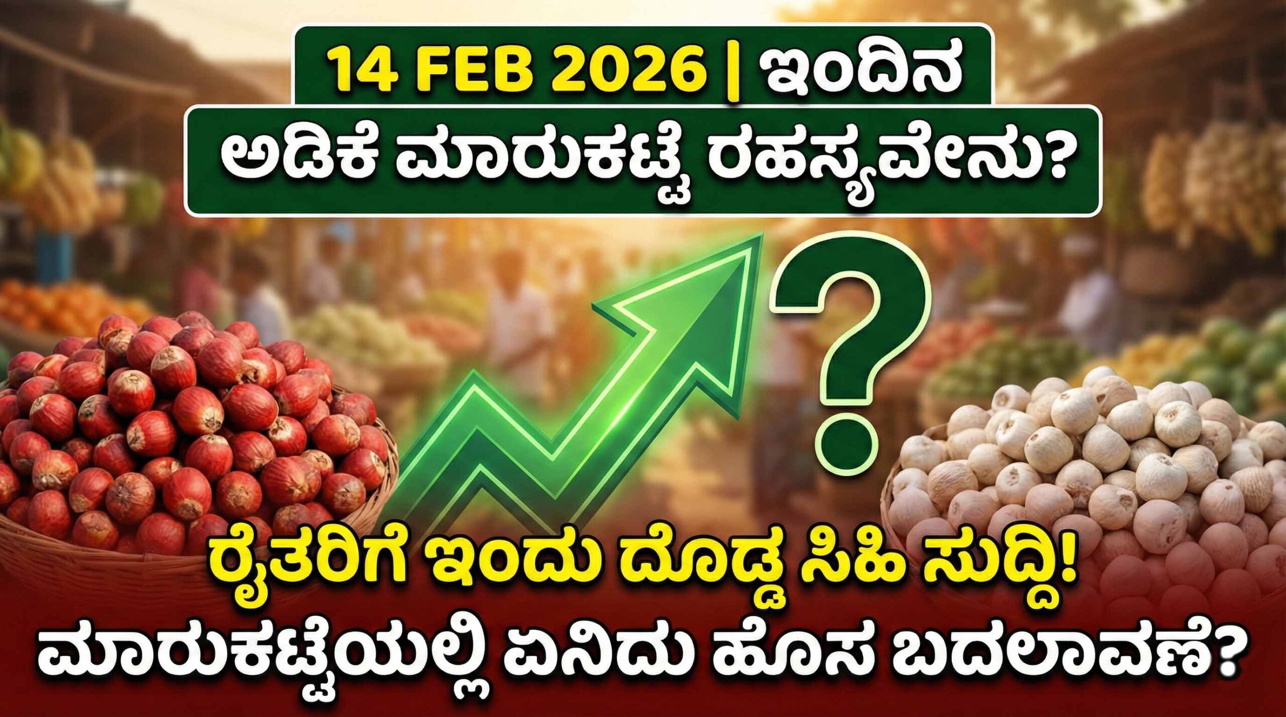 arecanut market price today 14 february 2026 karnataka scaled