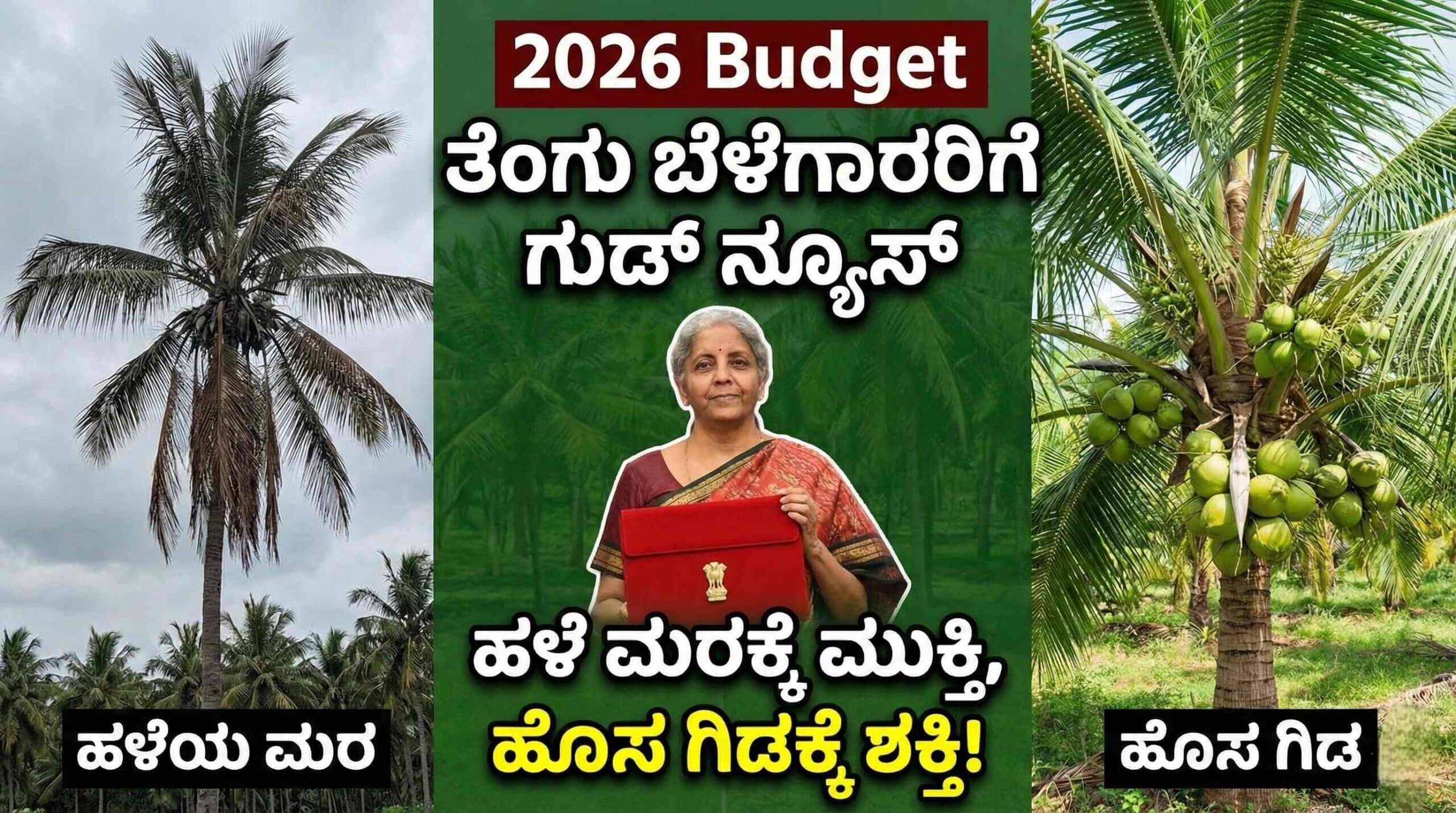 coconut budget 2026 scaled