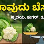 vegetable for health