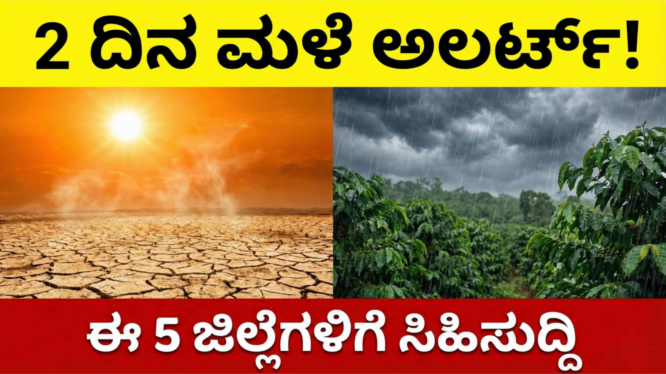 weather update feb 19 scaled