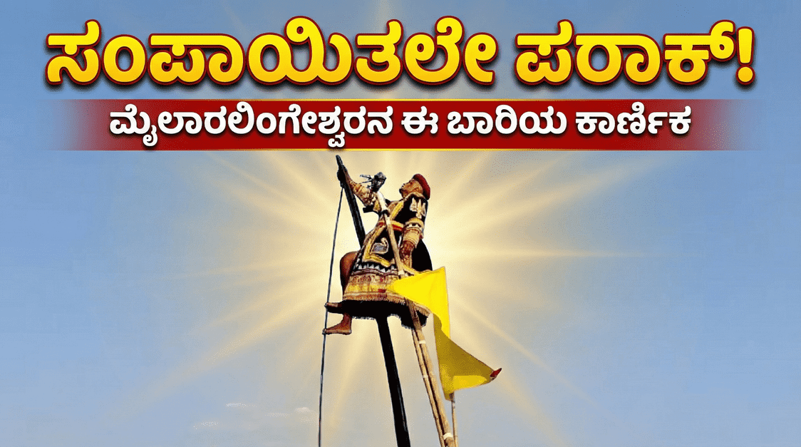 wmremove transformed 13 optimized 300