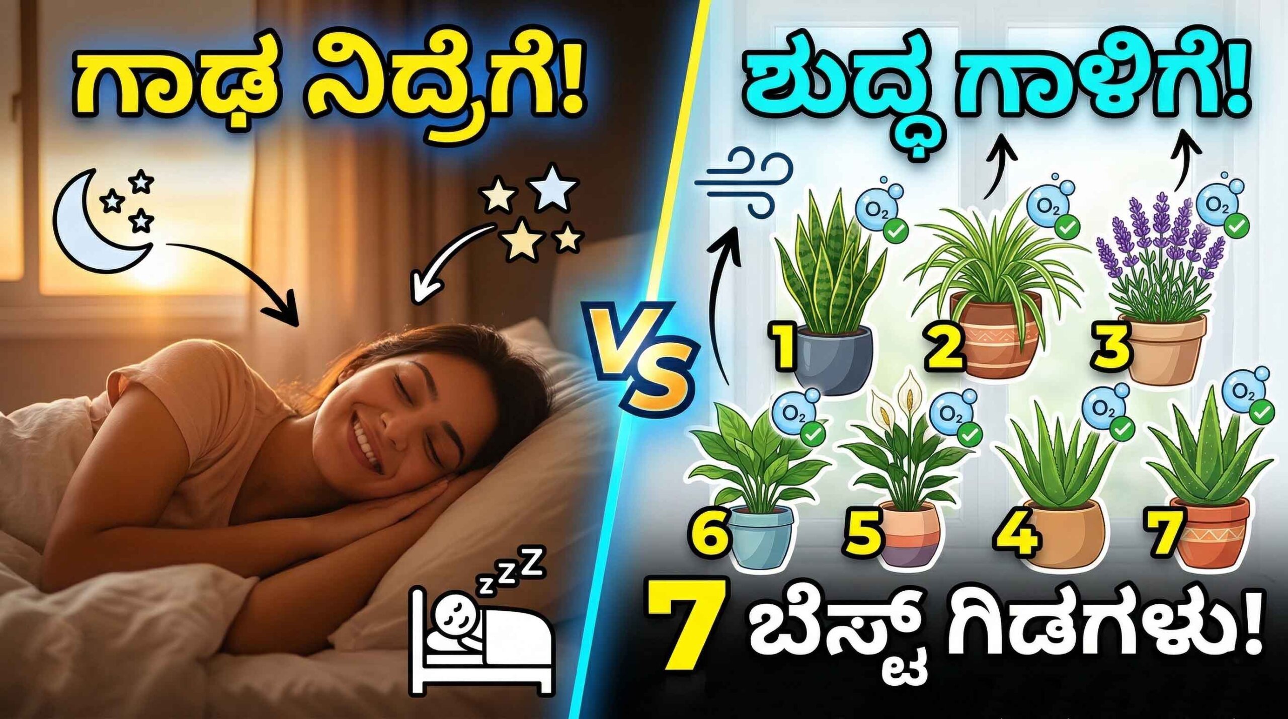 7 best bedroom plants for better sleep scaled