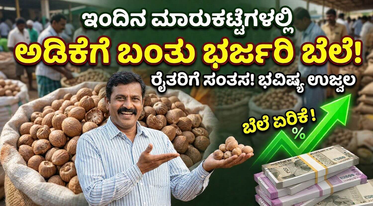 Gemini Generated Image hiu2h4hiu2h4hiu2