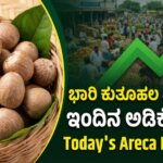 WhatsApp Image 2026 03 06 at 6.45.29 PM 1