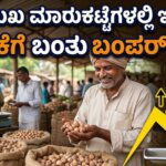 WhatsApp Image 2026 03 12 at 6.41.48 PM