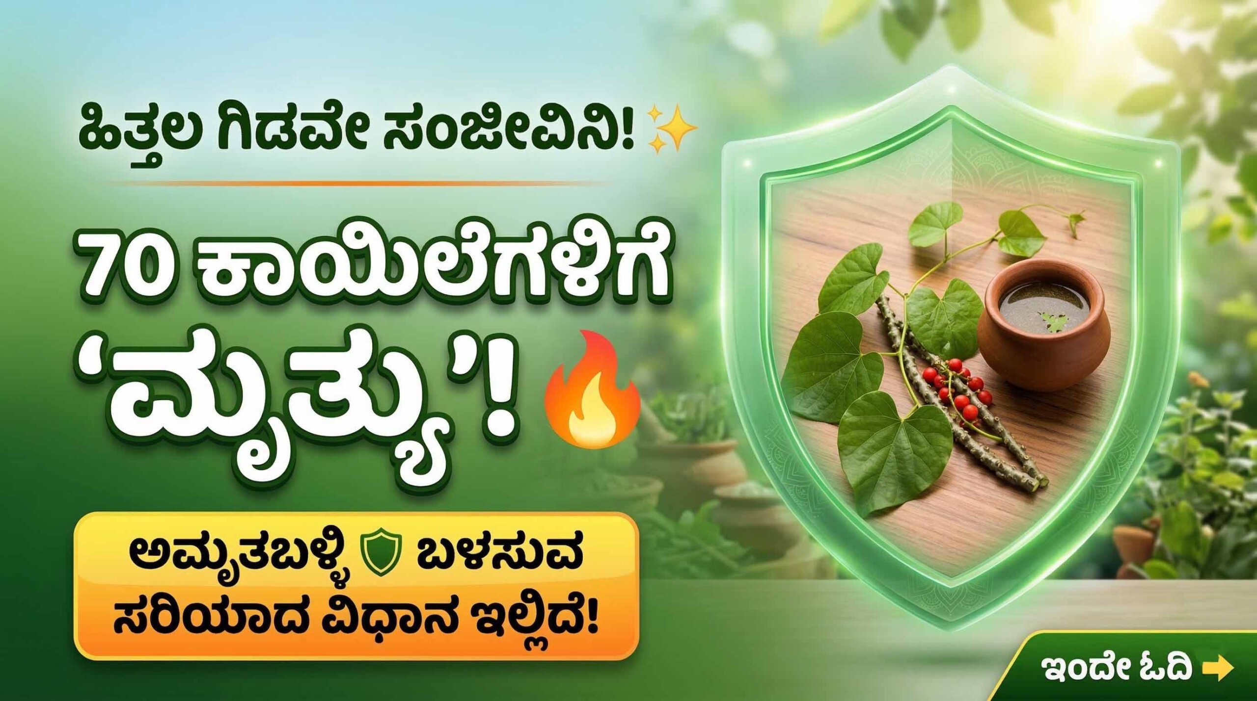 amruthaballi giloy health benefits kannada home remedies scaled