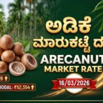 arecanut market price today 16 march 2026 shivamogga channagiri