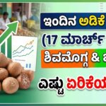 arecanut price today karnataka 17 march 2026 market report
