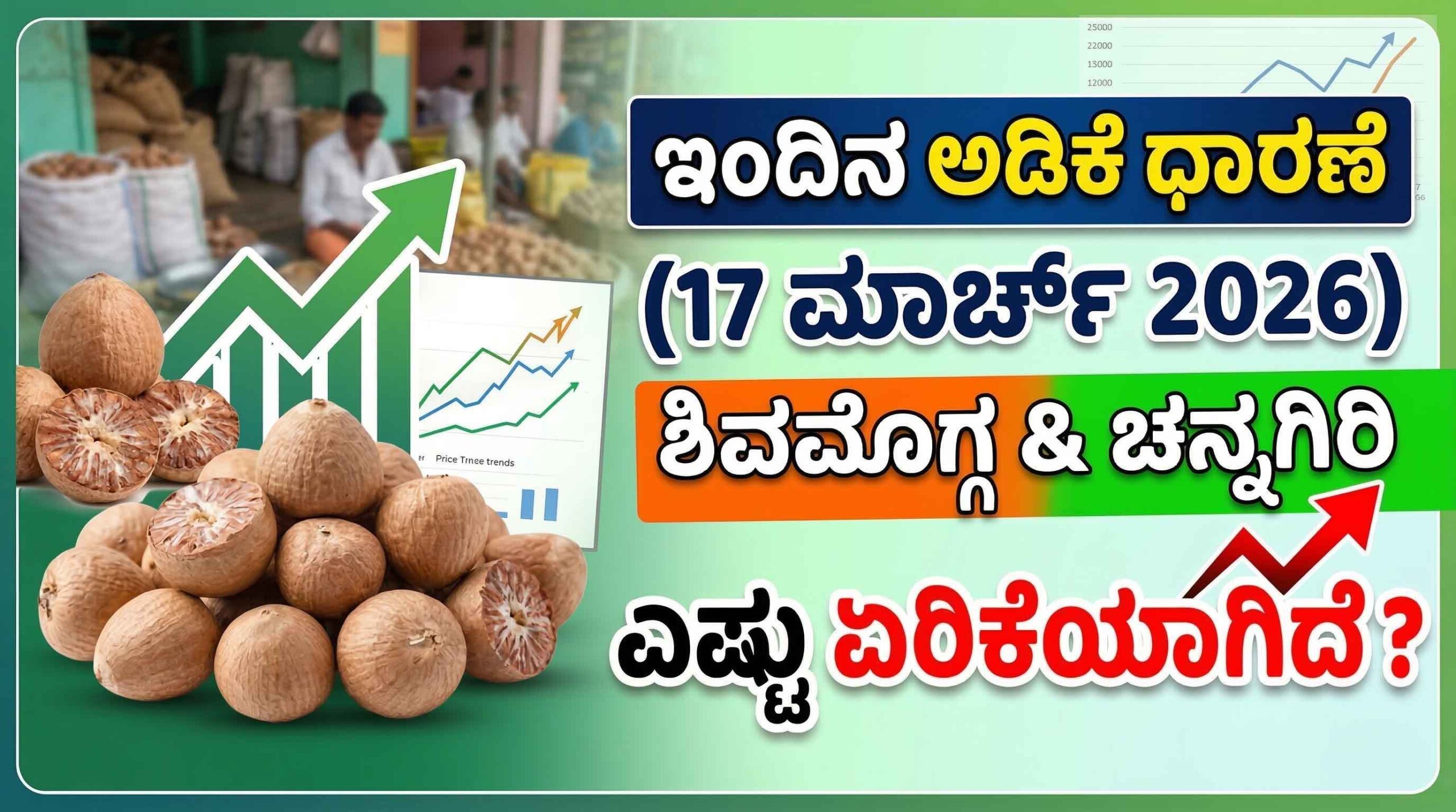 arecanut price today karnataka 17 march 2026 market report scaled