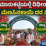 byadagi chilli market price drop arrivals march 24