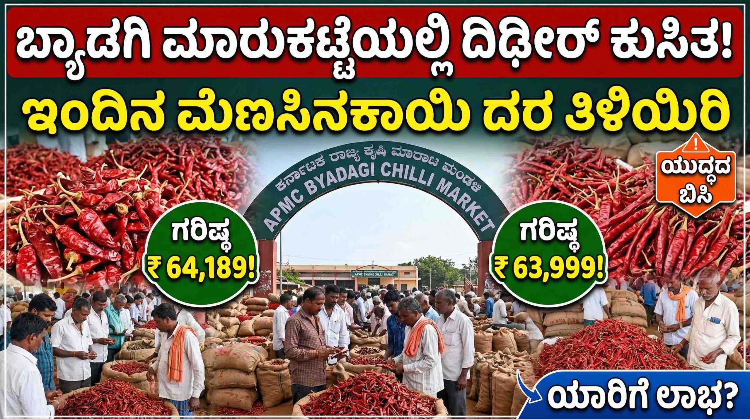 byadagi chilli market price drop arrivals march 24 scaled