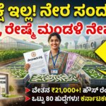 csb RECRUITMENT 2026