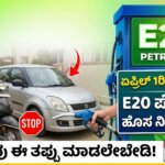 e20 petrol rules