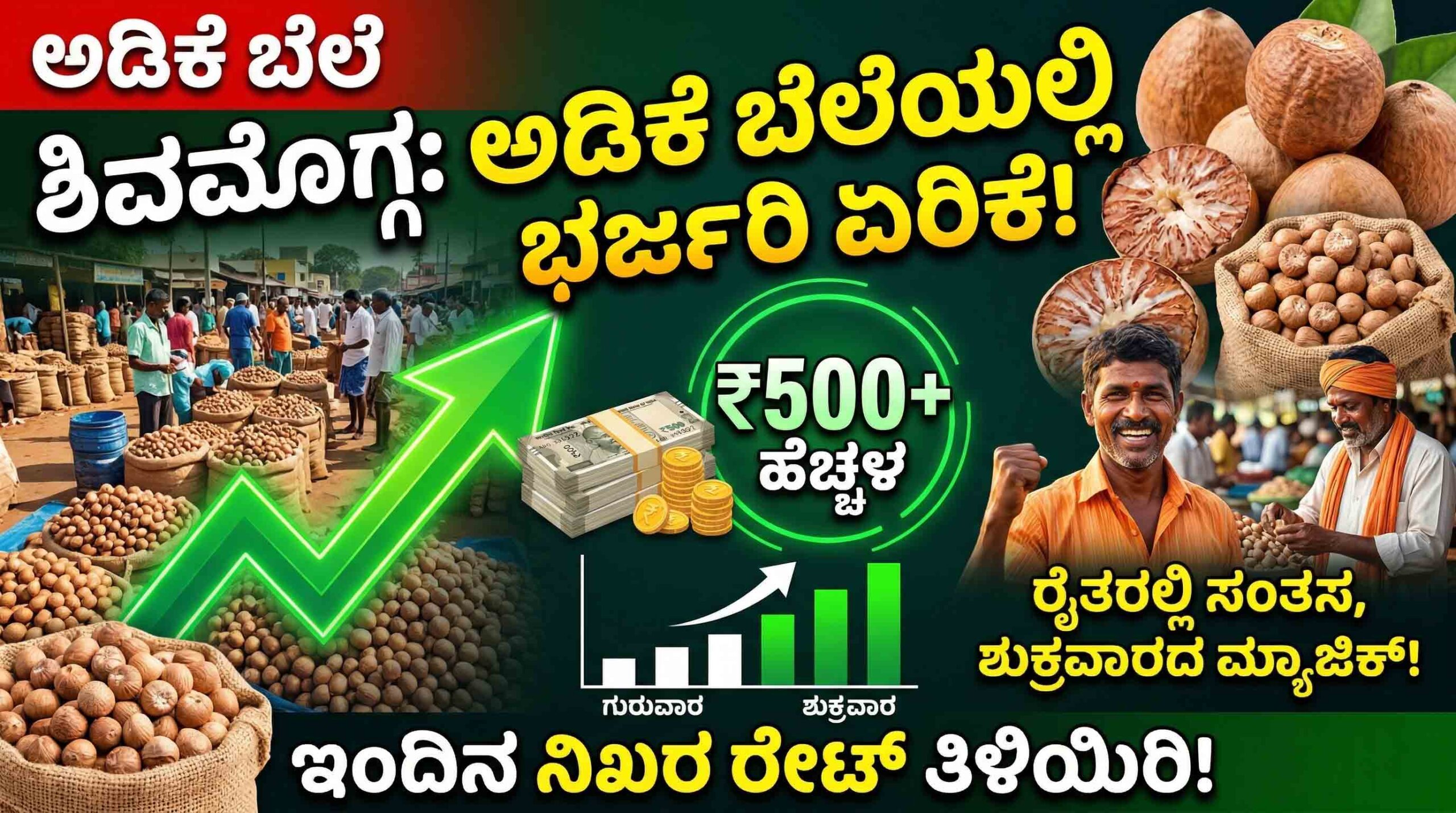 karnataka arecanut market price today 20 march 2026 shivamogga channagiri rates scaled