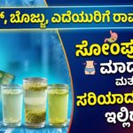 saunf water health benefits in summer