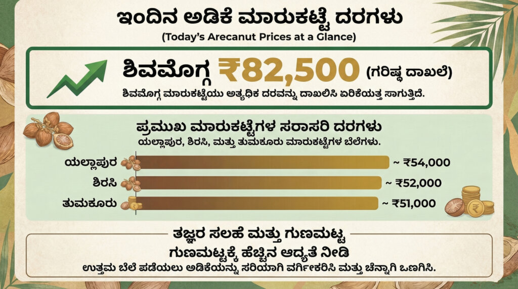 shivamogga adike rate today record high