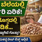 today arecanut adike price karnataka apmc