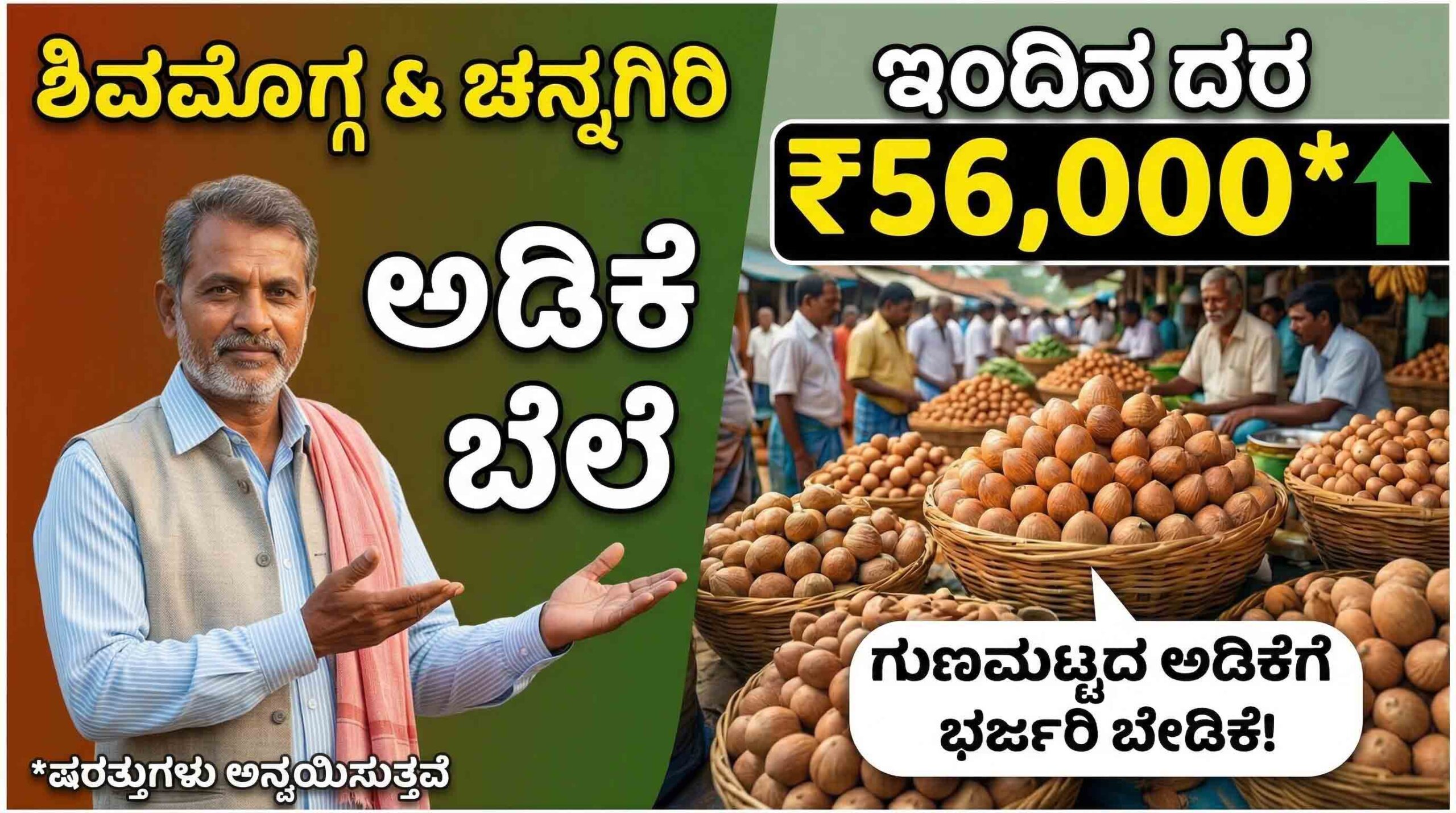 today arecanut market price karnataka 18 march 2026 shivamogga channagiri scaled