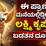 vastu tips lucky animals to keep at home for wealth and prosperity kannada