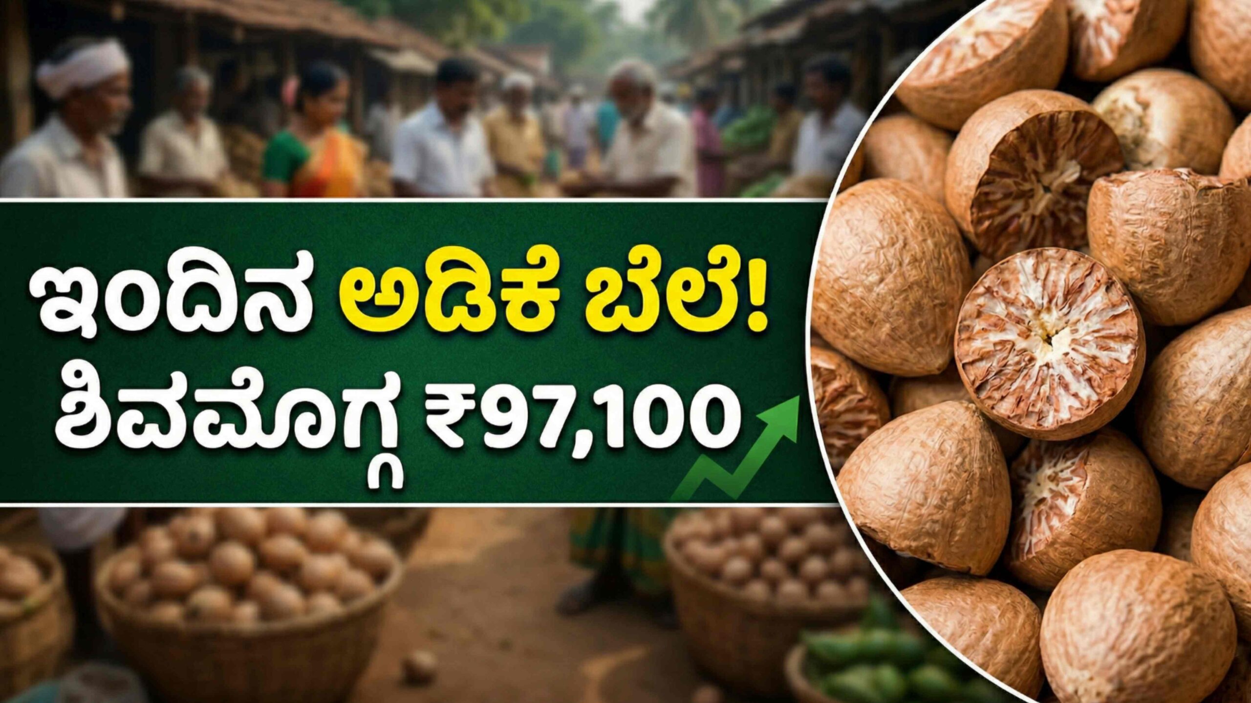 ARECANUT PRICE APRIL 13 scaled