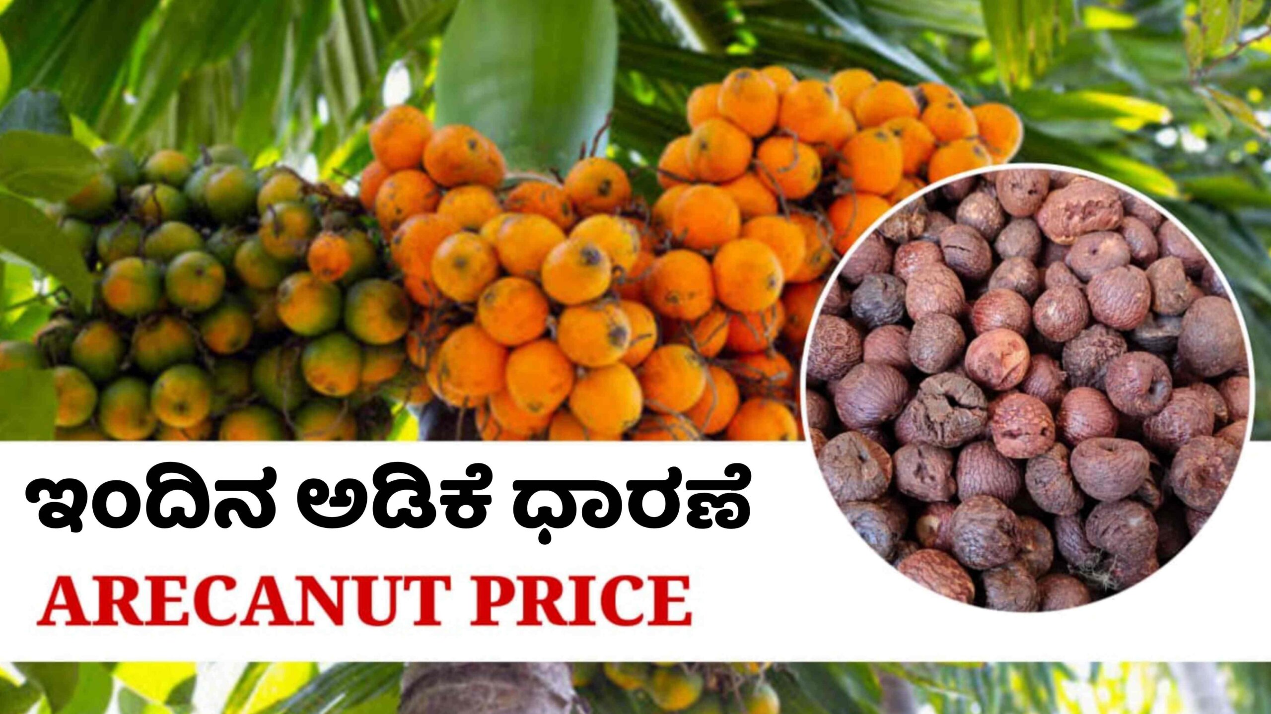 adike rate april 21 scaled