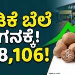 arecanut market price today karnataka guide