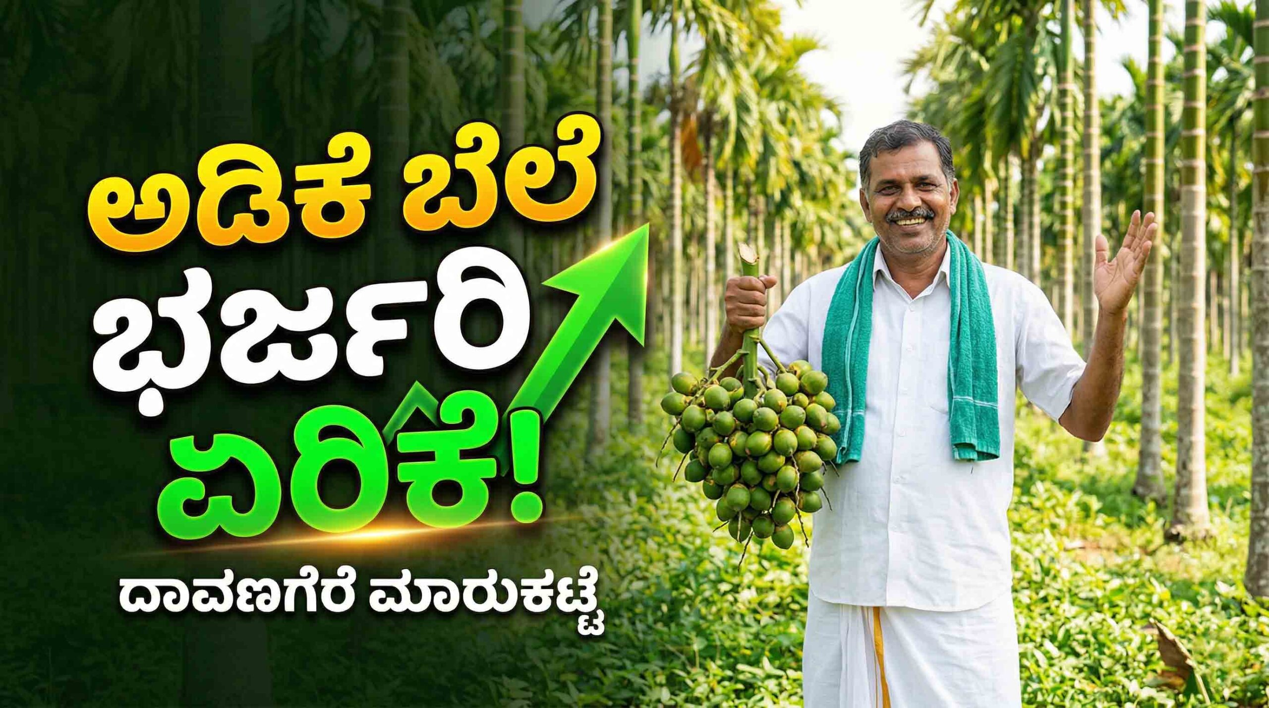 arecanut price davanagere today april 11 update scaled