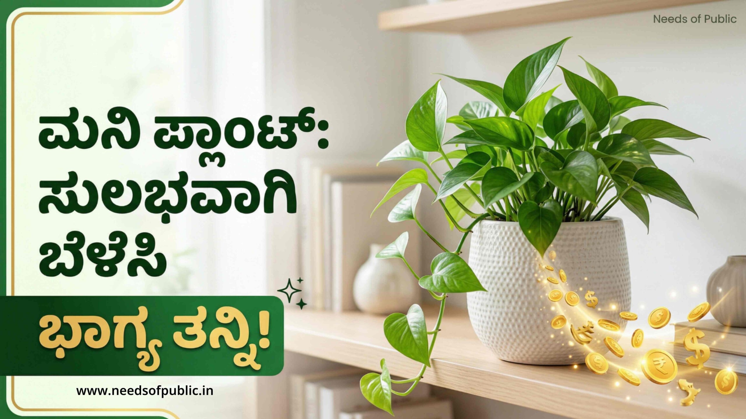 money plant 1 scaled