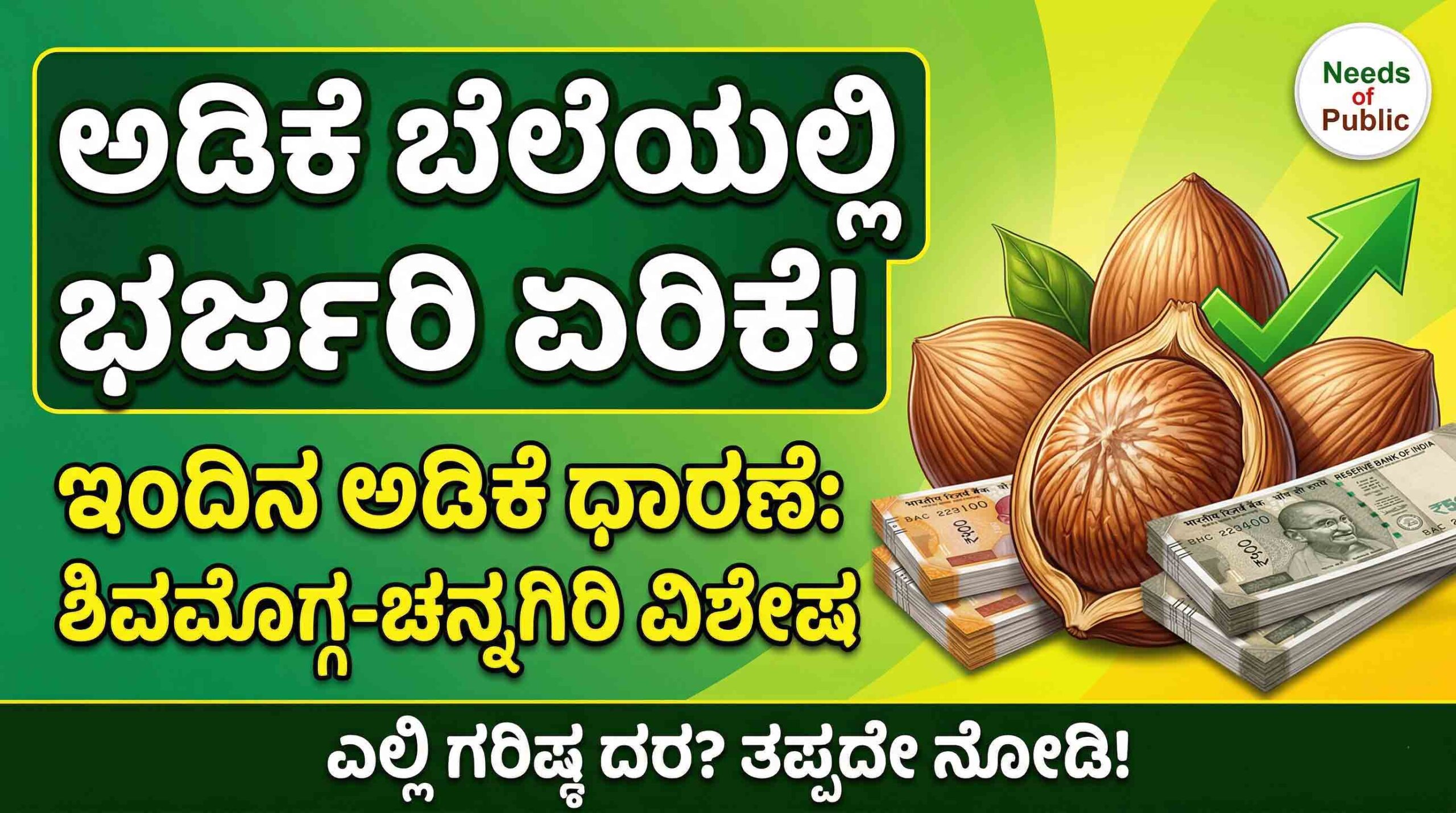 today arecanut market price shivamogga channagiri kannada news scaled