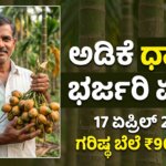 today arecanut market price shivamogga karnataka 17 april 2026