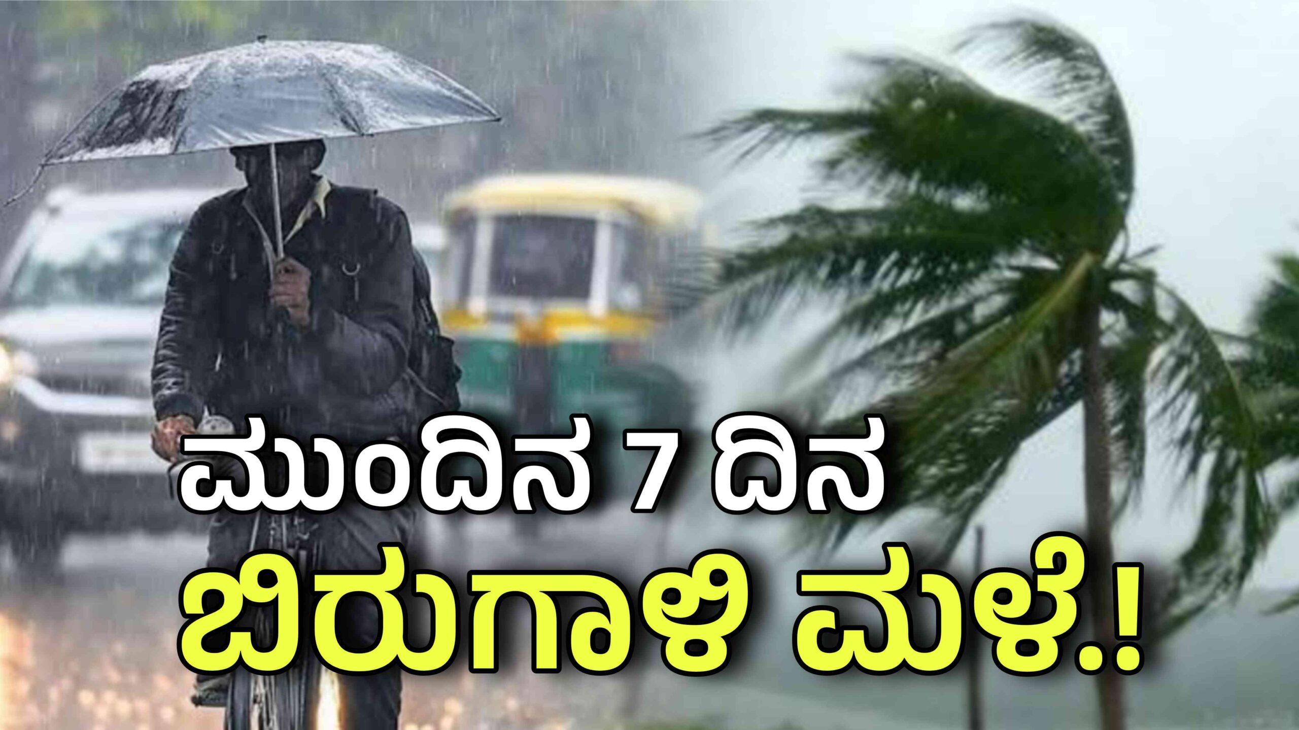7 days rain alert scaled