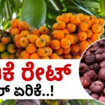 ADIKE RATE TODAY MAY 13