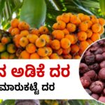 arecanut price today ಶಿವಮೊಗ್ಗ ಅಡಿಕೆ ರೇಟ್