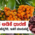 arecanut rate may 4 shivamogga